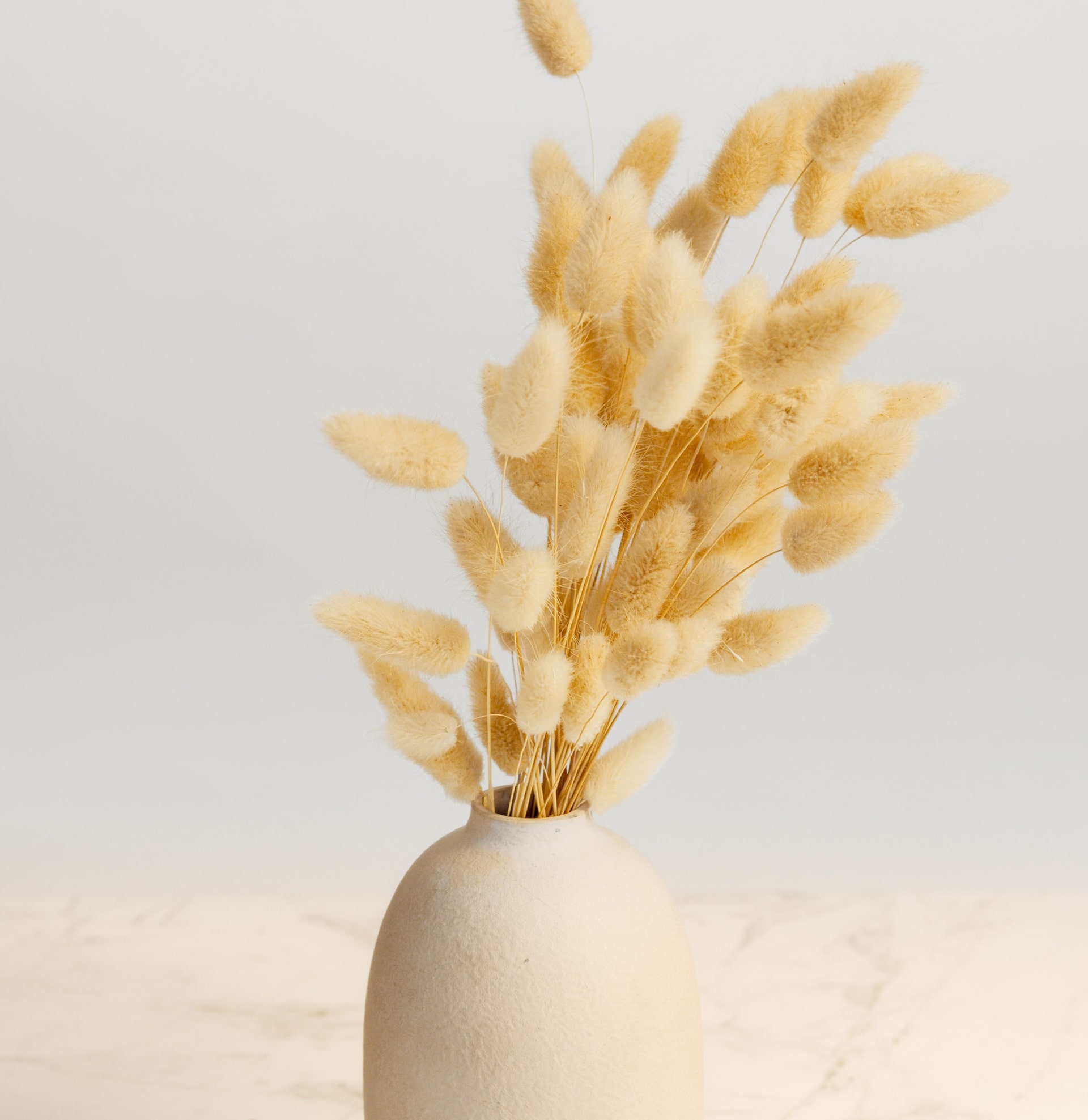 Family Business Coaching